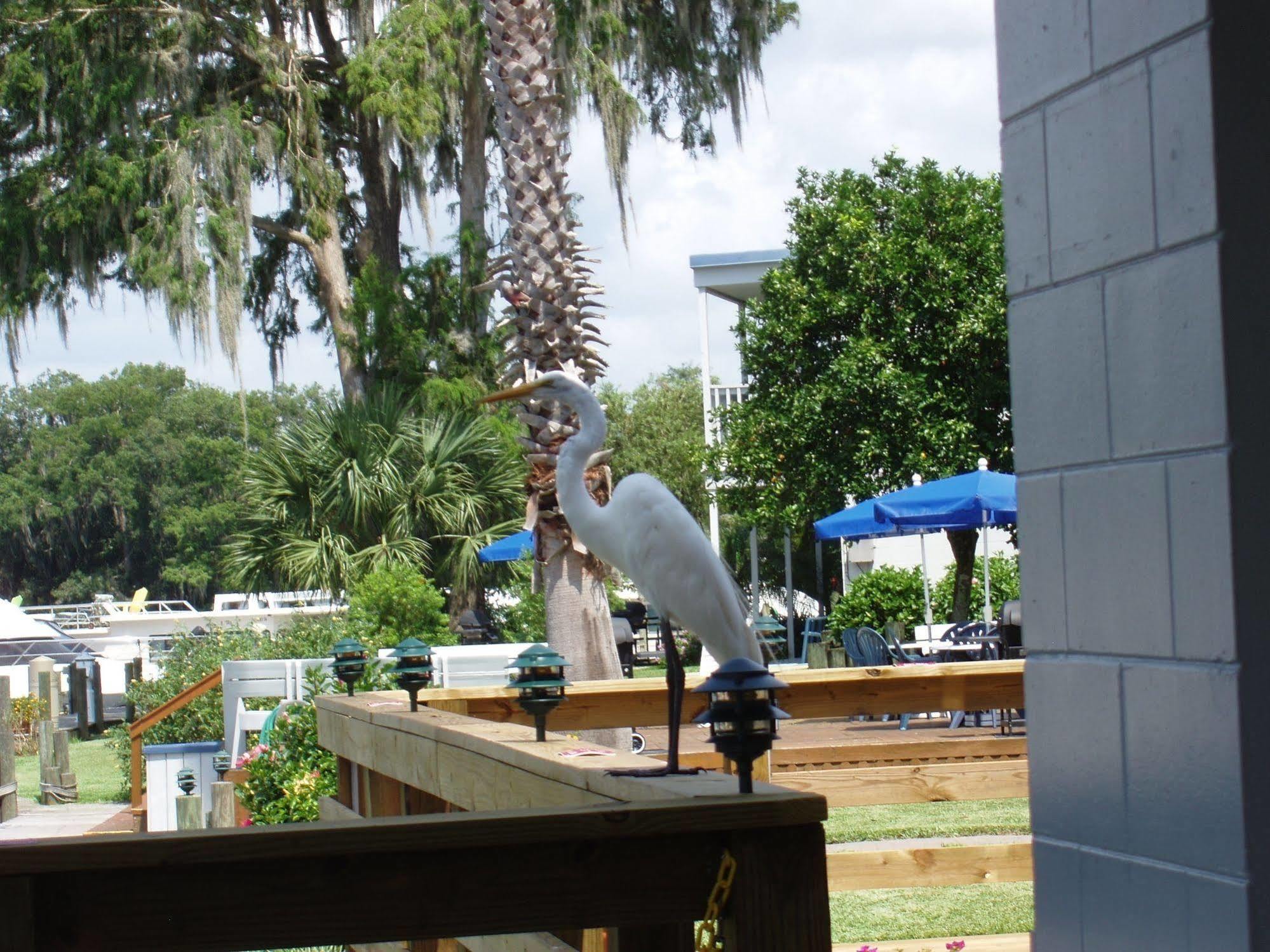 Hontoon Landing Resort & Marina DeLand Exterior photo