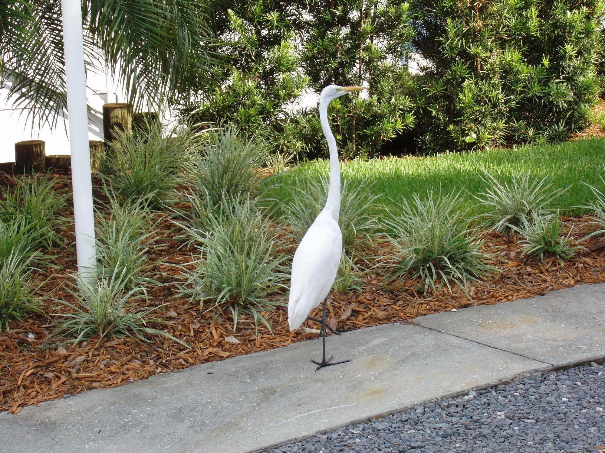 Hontoon Landing Resort & Marina DeLand Exterior photo